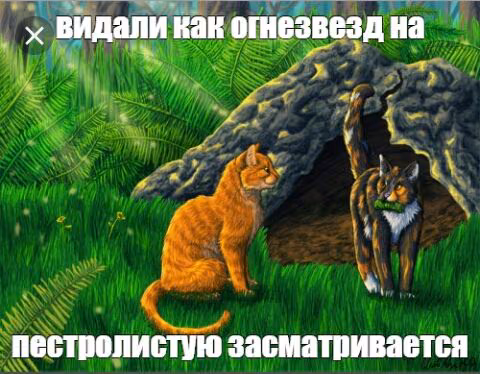 640498b7b9cf3ed648d7d7524cc6d176.avif