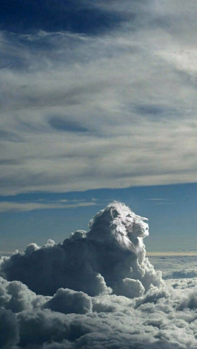 64077c74e04c7d8000a350ae4e318b67.avif