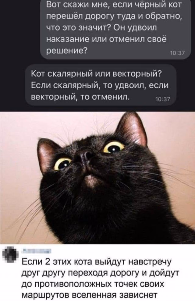 640a91d1ad59c8a959a13bd910385d95.avif