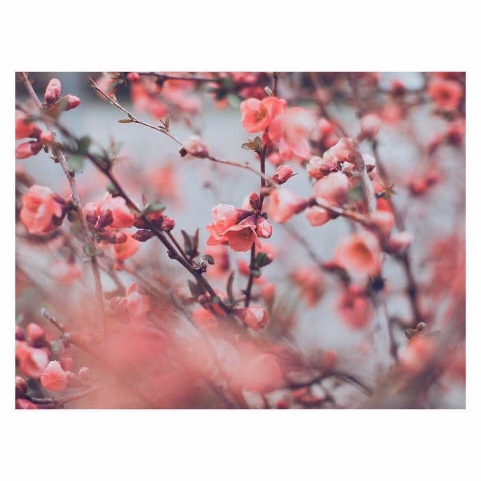 640c66c9fb2852eff2ec3bba2af96d49.jpg