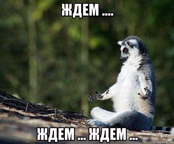 6423a83b5117c8c131408a61e51d8359.avif