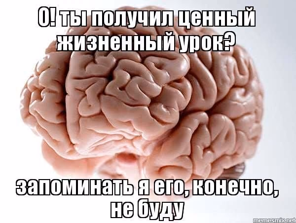 643b555458e851aaede01fe6fde0af67.avif
