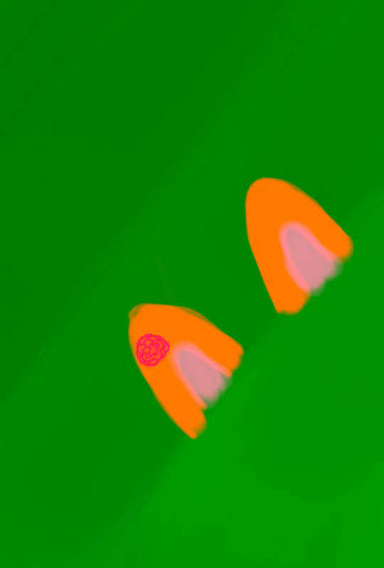 6441831a82296c82a3869709790fd13b.jpg