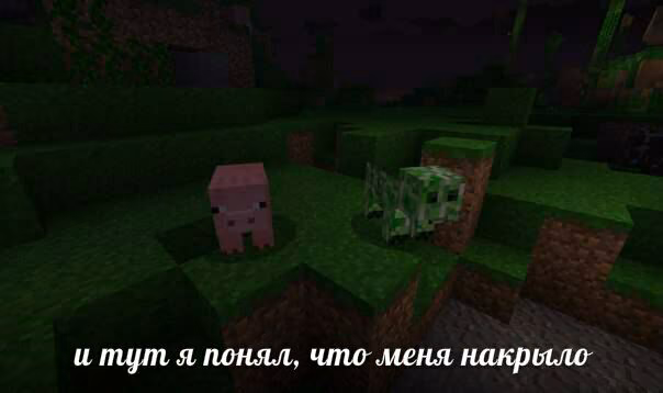 644a48850998e5b2da32a188038667ee.jpg
