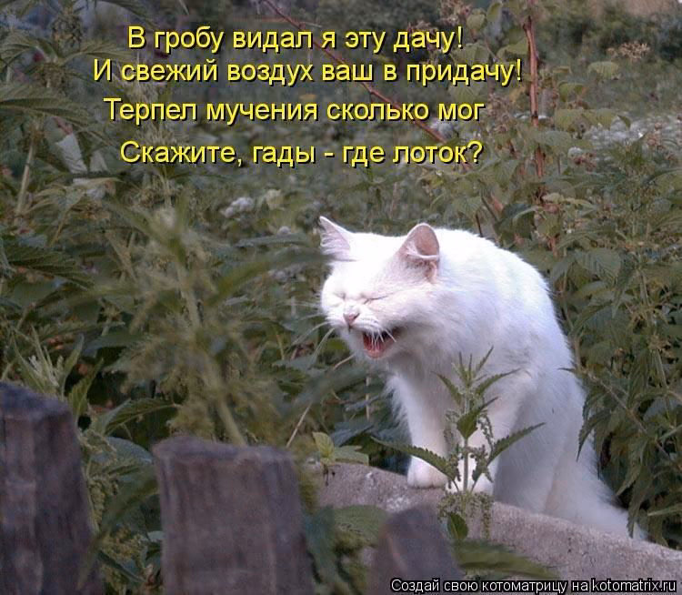 64501f875e094da0dbb5ca24cd922871.avif