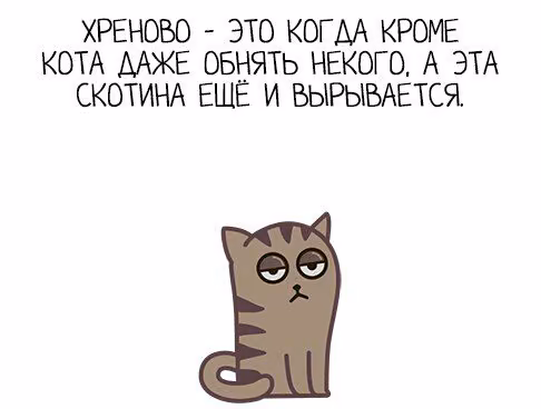 645a7447b67e1e880277901d429f1680.avif