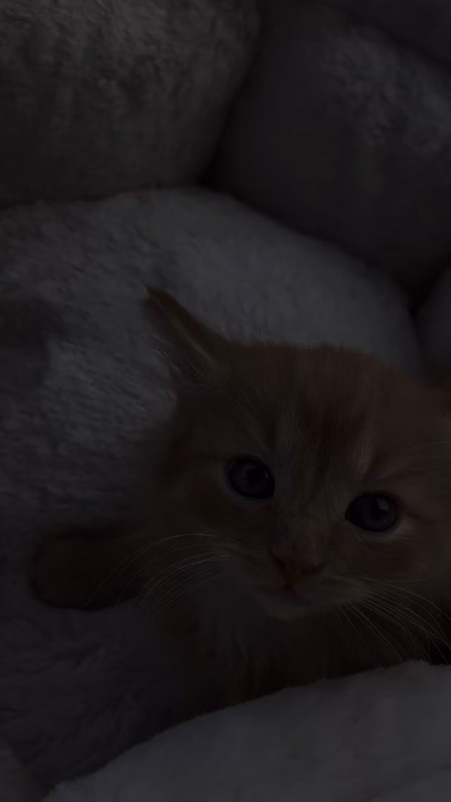 6463806a843ec8417807dc826a7916df.jpg