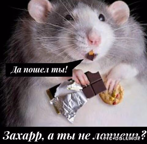 6474012327a5185273db72a8e7f3b4d8.jpg