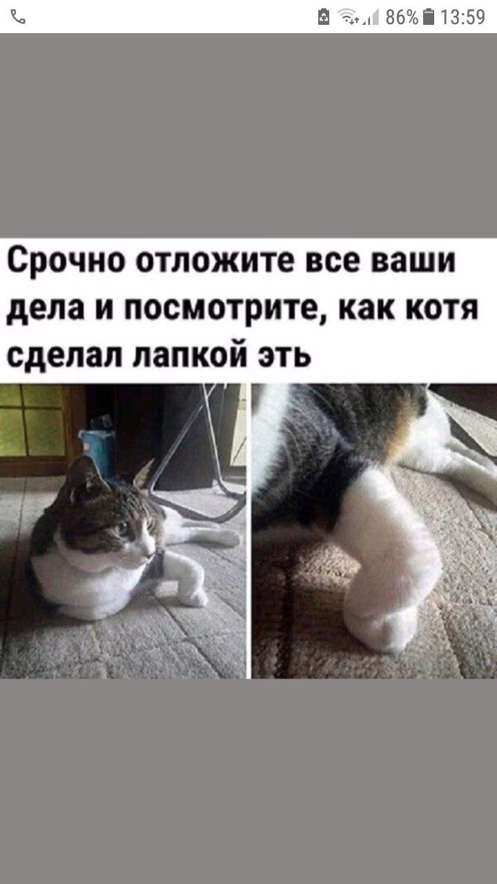 648cfb4405081286b6ad5ae075e01014.jpg
