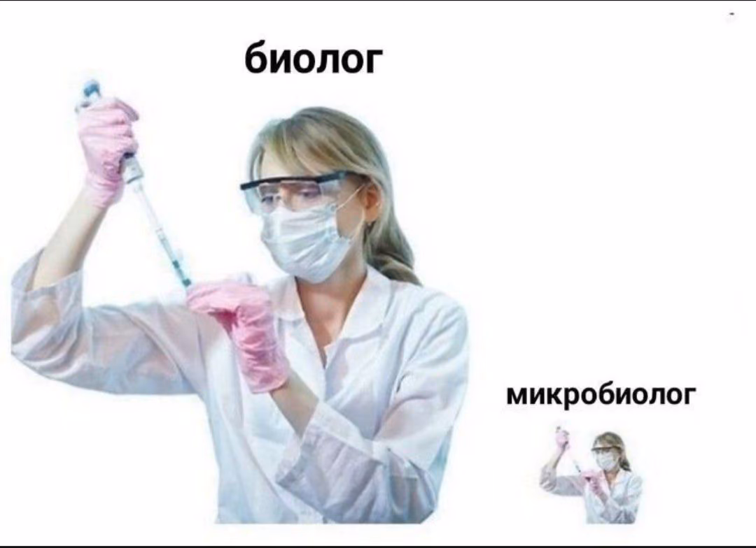 64b5532f06761fa66a9f2e4a8514d760.avif