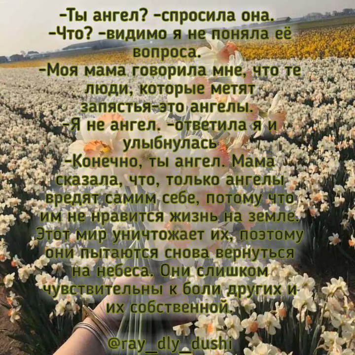 650dceeed247f28f1373de764779c295.jpg