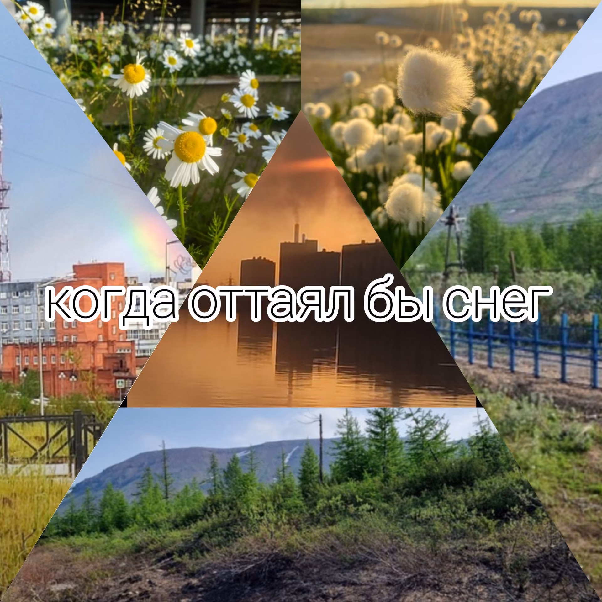 651218576459d2996cf4cf24158ecf3d.jpg