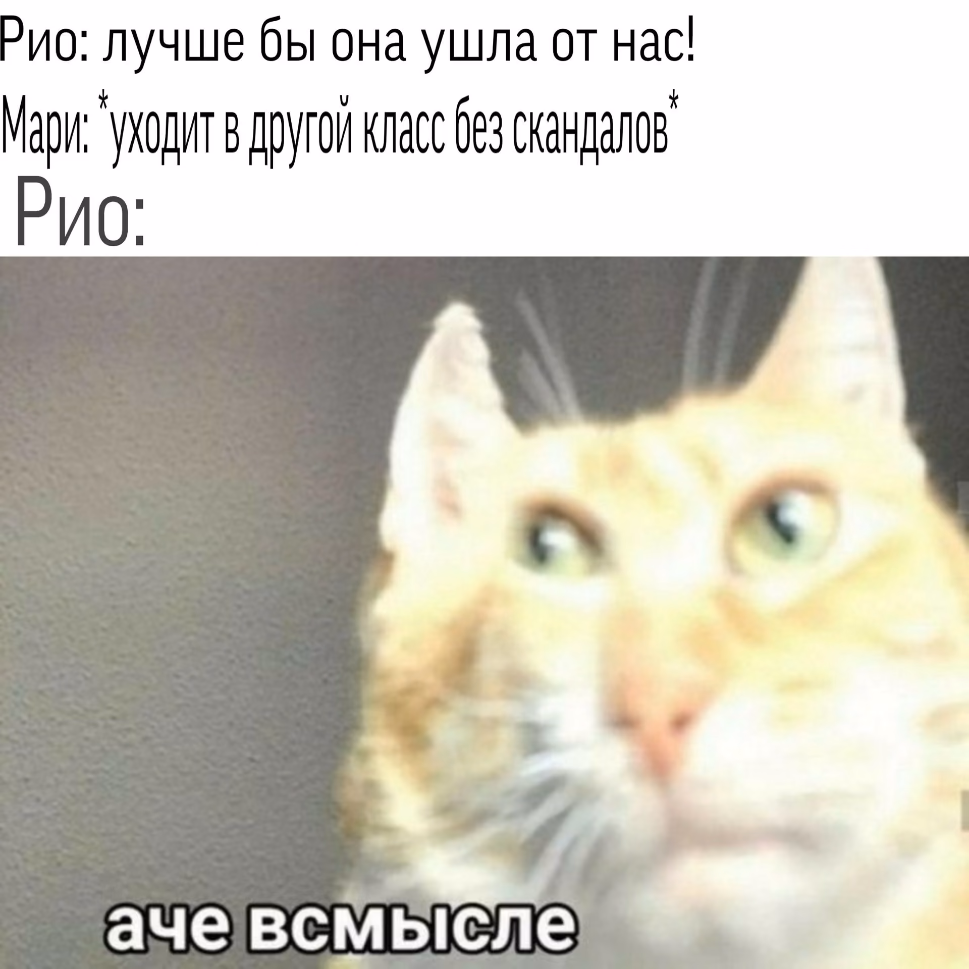 65295a7d73dd429728ff120768a83b78.avif