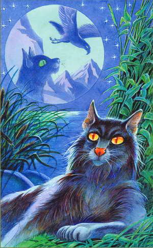 653c19bea59df5bd6069955521a89bda.avif