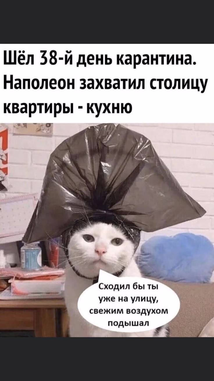 e8c1c5c0df445de58f75043a7200f093.jpg
