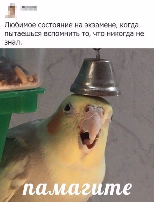 6544c3595d3a509f94a339779def9ba4.avif