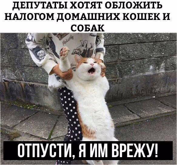 654e6e584cfe8509fb40bda4dd80cbd5.avif