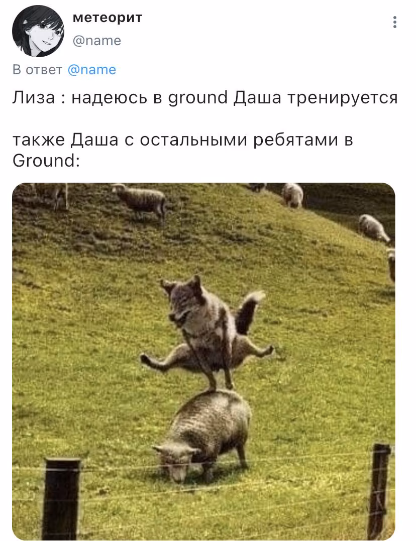655abe3ea5f60ba9129415d2e6f4ed03.avif