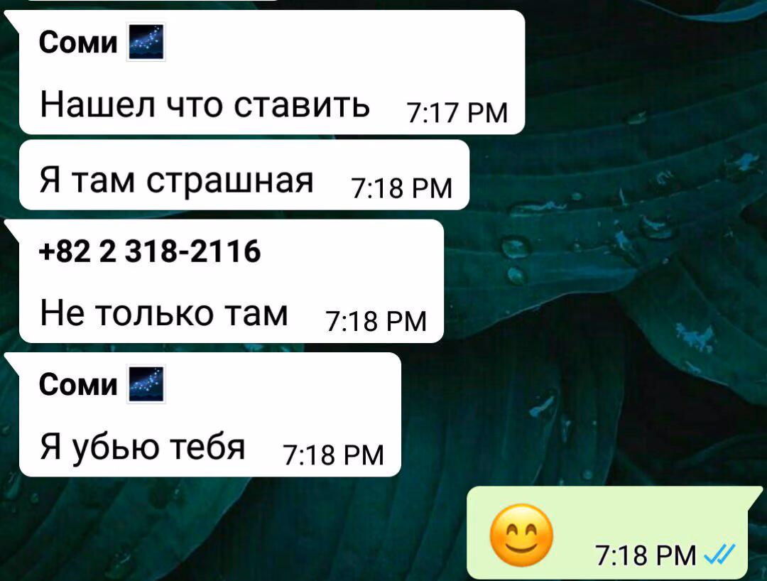 6567a6a7c3b87c83bfae9dccecdda394.avif