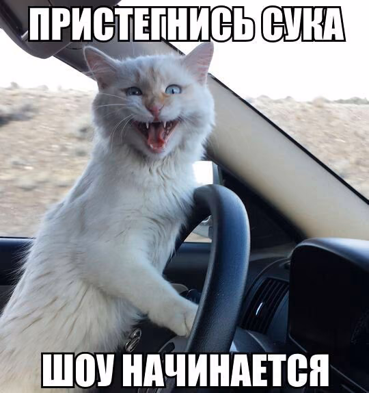 6568f8a469f7164b68bcae2a010bf8a1.avif
