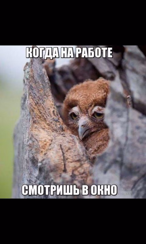 656a2b47a31d52c65987b129453327d8.avif