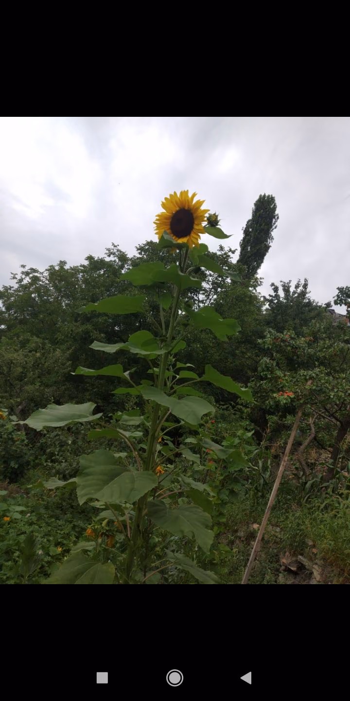 65733fd9524a63ba1740ddcf1e02c6b5.jpg