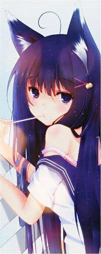 6577c12a63e0cfb5cfbd377125c423fd.avif