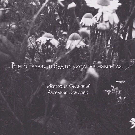 6581cd08147ba31c3dcc52df1725b835.avif