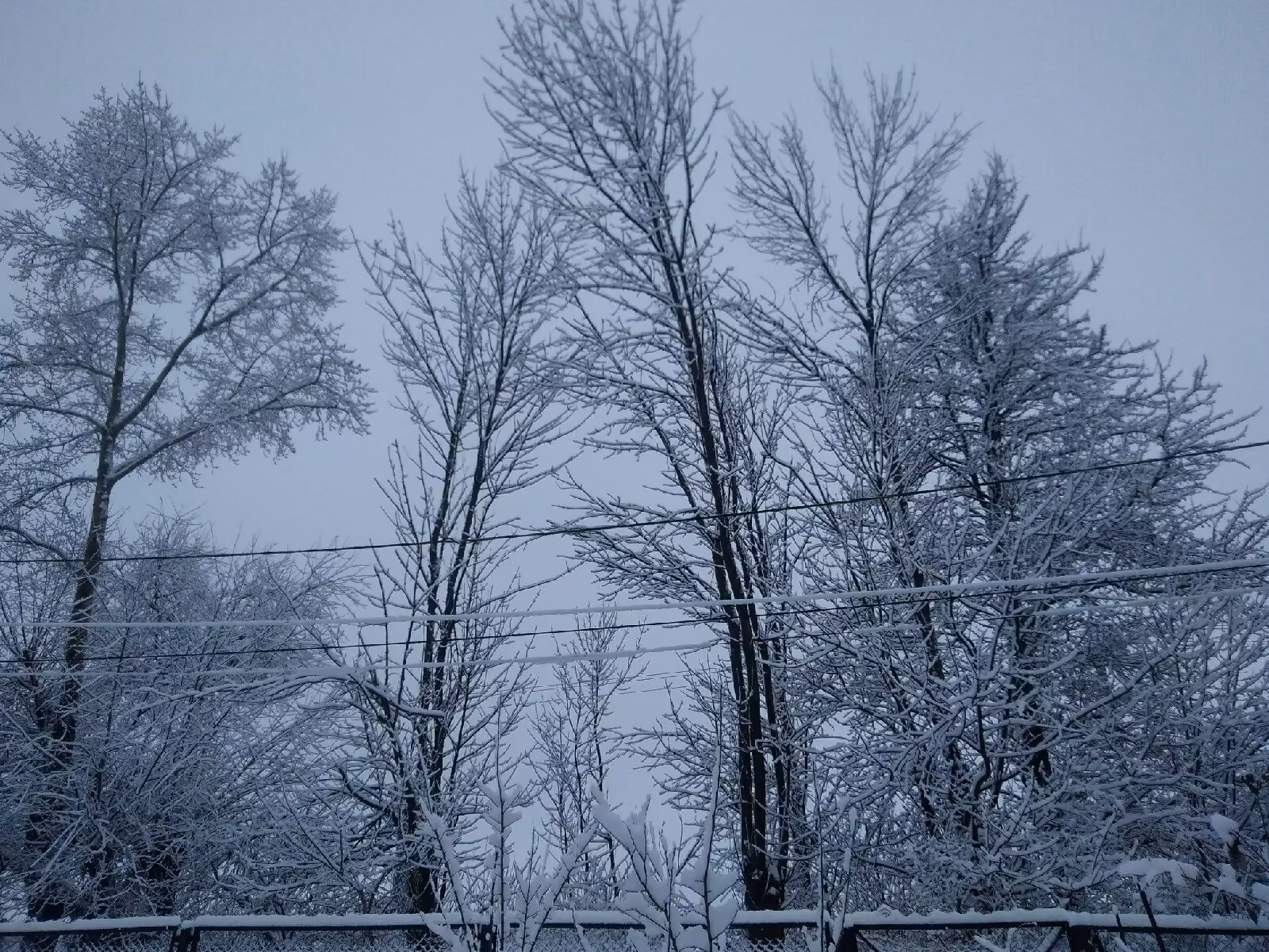 65979c0557aa6ebc88aa4991bf483b0a.jpg