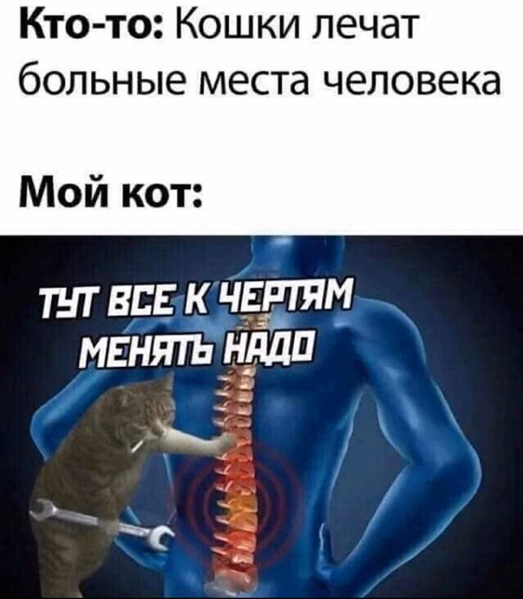 6599b1c613b227022082b8c8bcf0cd26.avif
