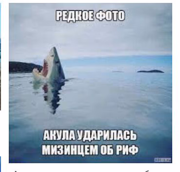 65a40b3a5f910cde356a78a97ab4d14b.jpg