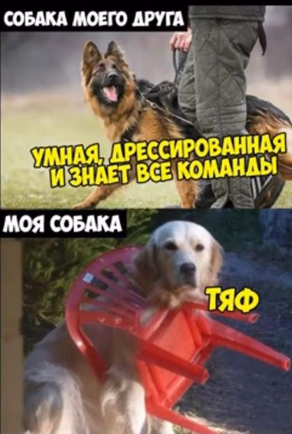 65b06361adae4ce7f7936dfb9410287d.jpg