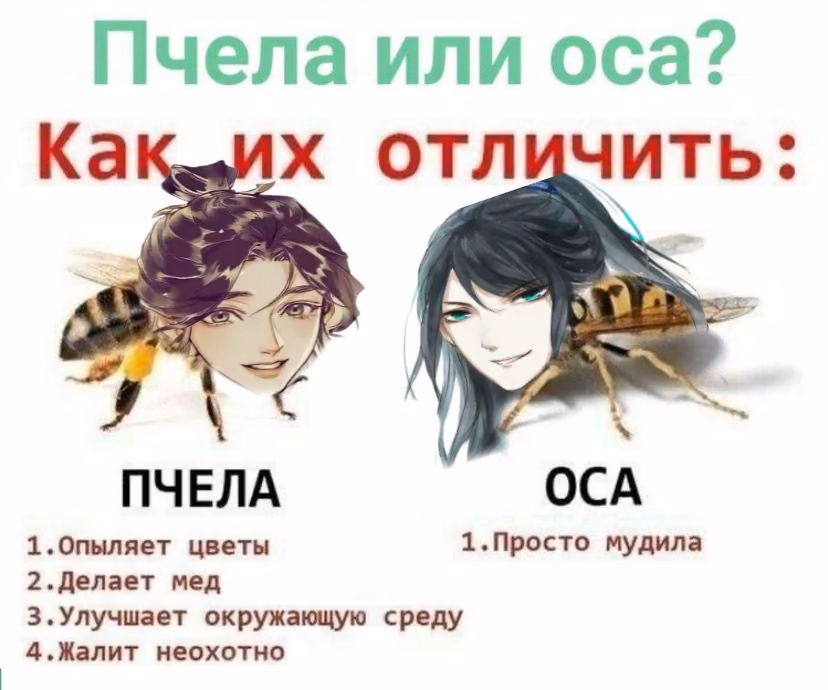 65cd00abbd6bacc4239a18723b423173.avif