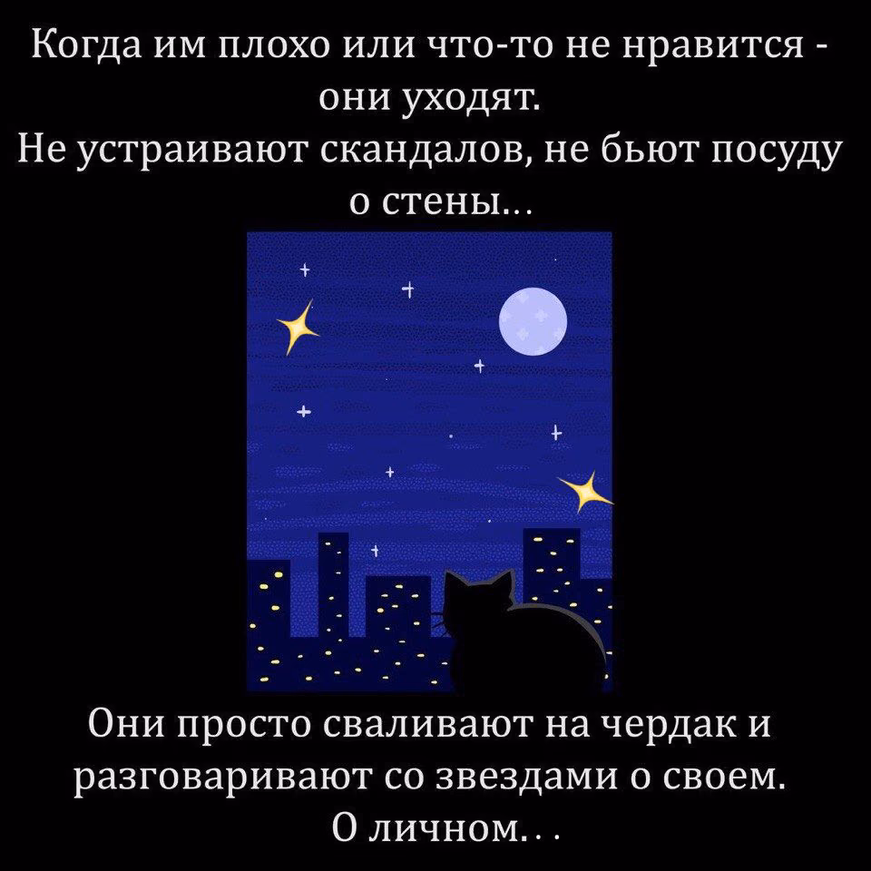 65cd0d7f225e8134eb32dbdf4914ec6d.jpg
