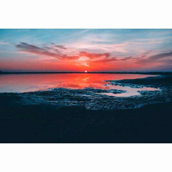 65e41451c967efa01d9db61dbcb7d515.jpg