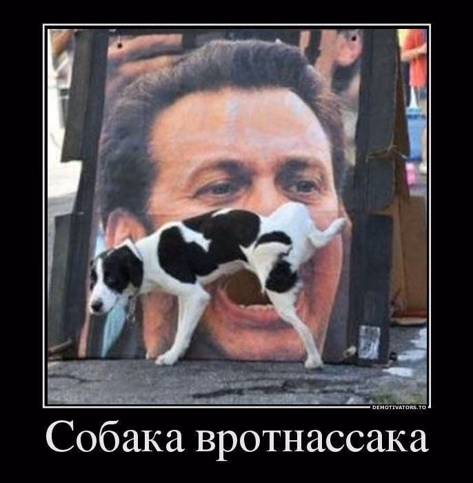 65e42c2d7e97521563b942ff2cd79e1e.avif