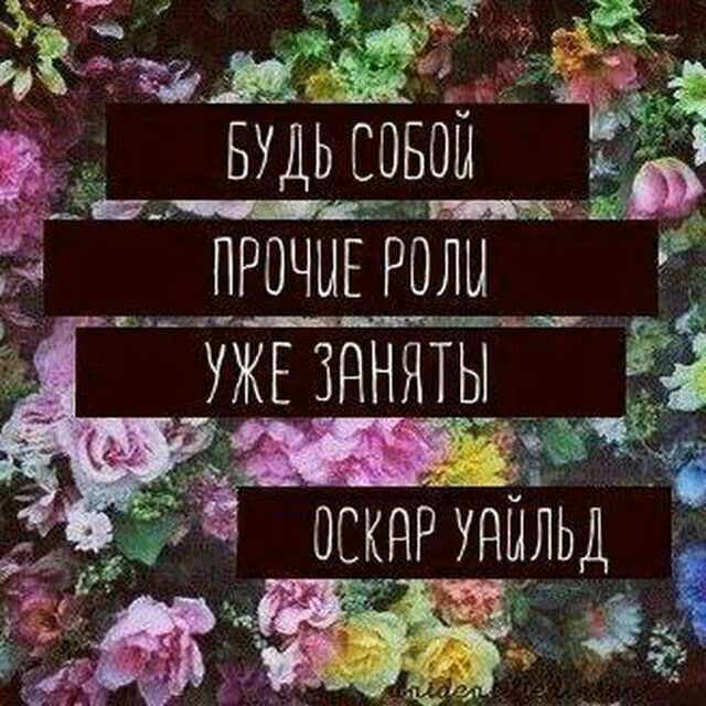 65e62c381790b67387f46c0faf2256f2.jpg