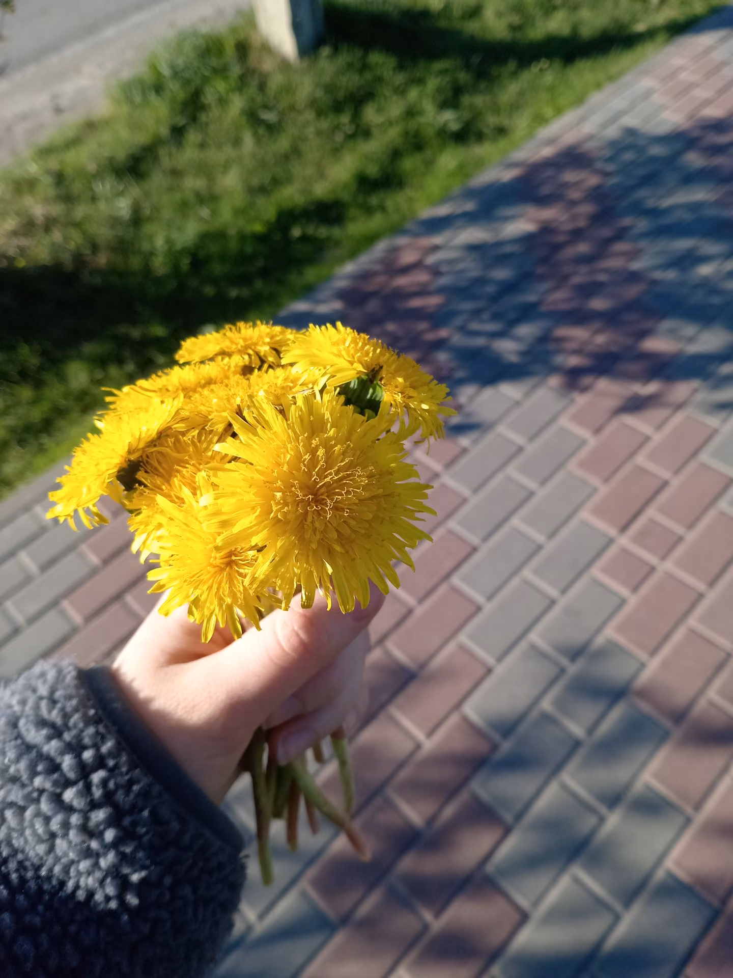 65f71760326b1583aa93aa7fcf4aafdb.avif