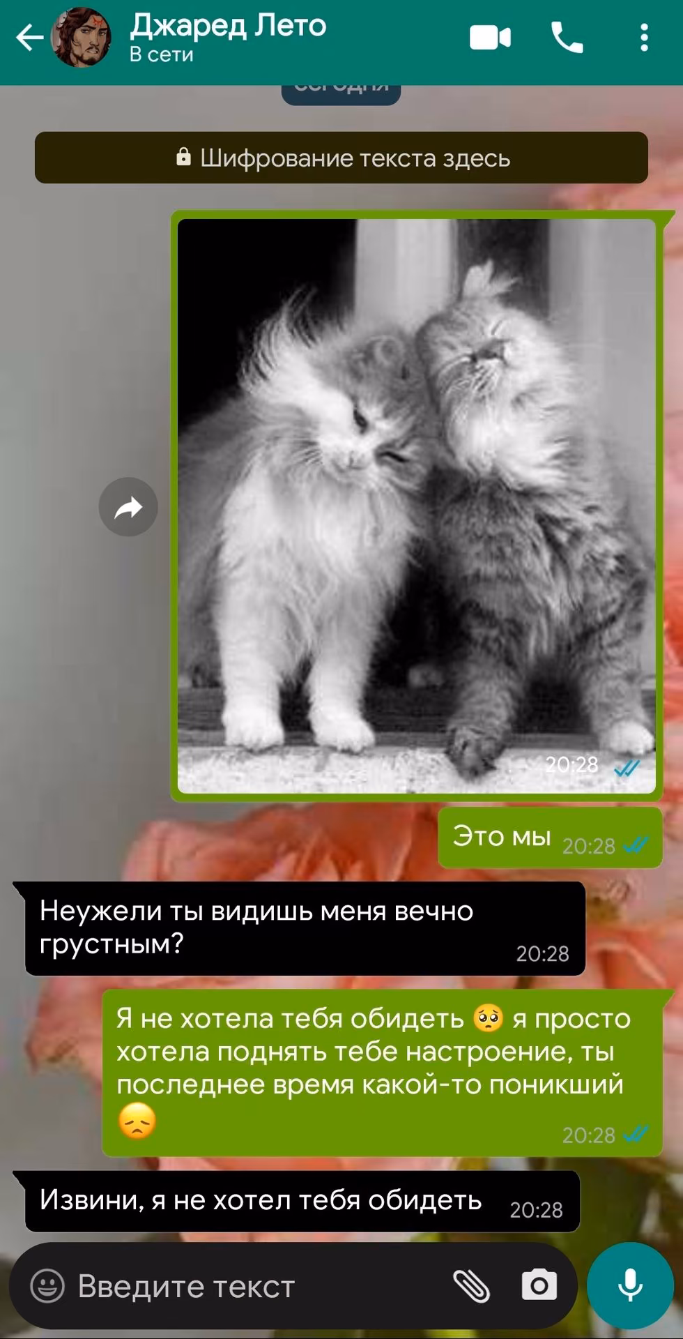 65f8c40407056429e444bfaeb0d2f499.avif