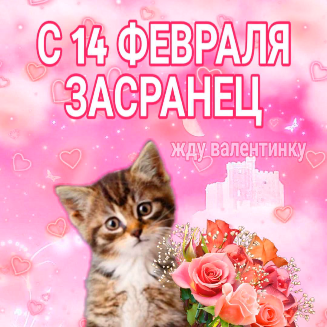 6600f8935829e0e2a7bb128f5b936c90.avif