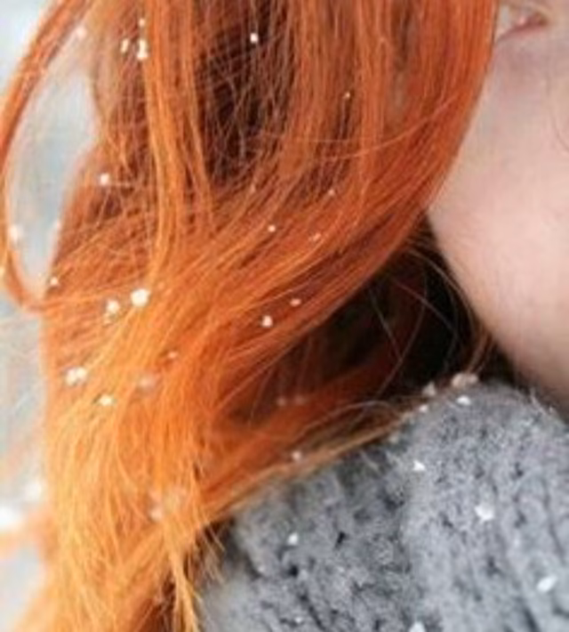 66111fb8af37cc5693ca155be46add0b.jpg