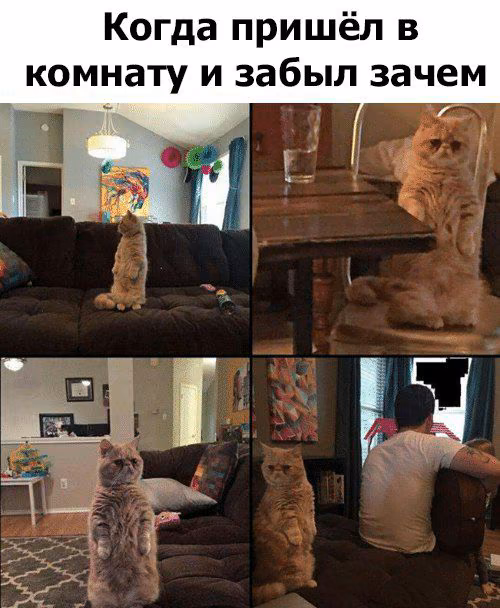 662d8ad2a7c32fab9118a04ed0a1d6f2.jpg