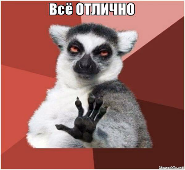 66394e6e97a673c66a4c976fa655c615.avif