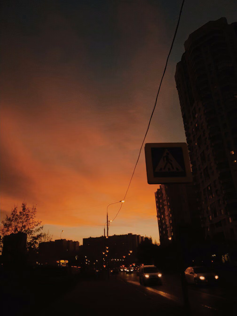 664acda7455b5b38840e1301c518a8d2.jpg