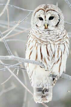 6665c4e79310cb61be44c003c8987174.avif