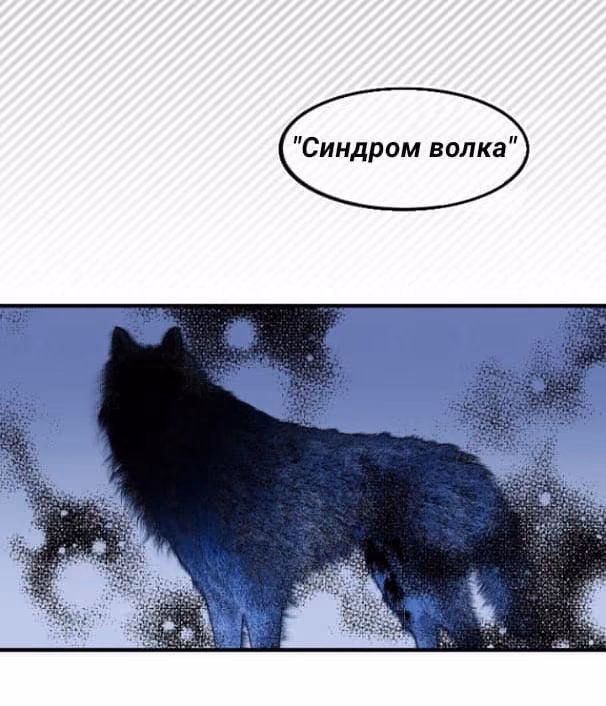666a33653d68d4beabffb223f21c776c.jpg