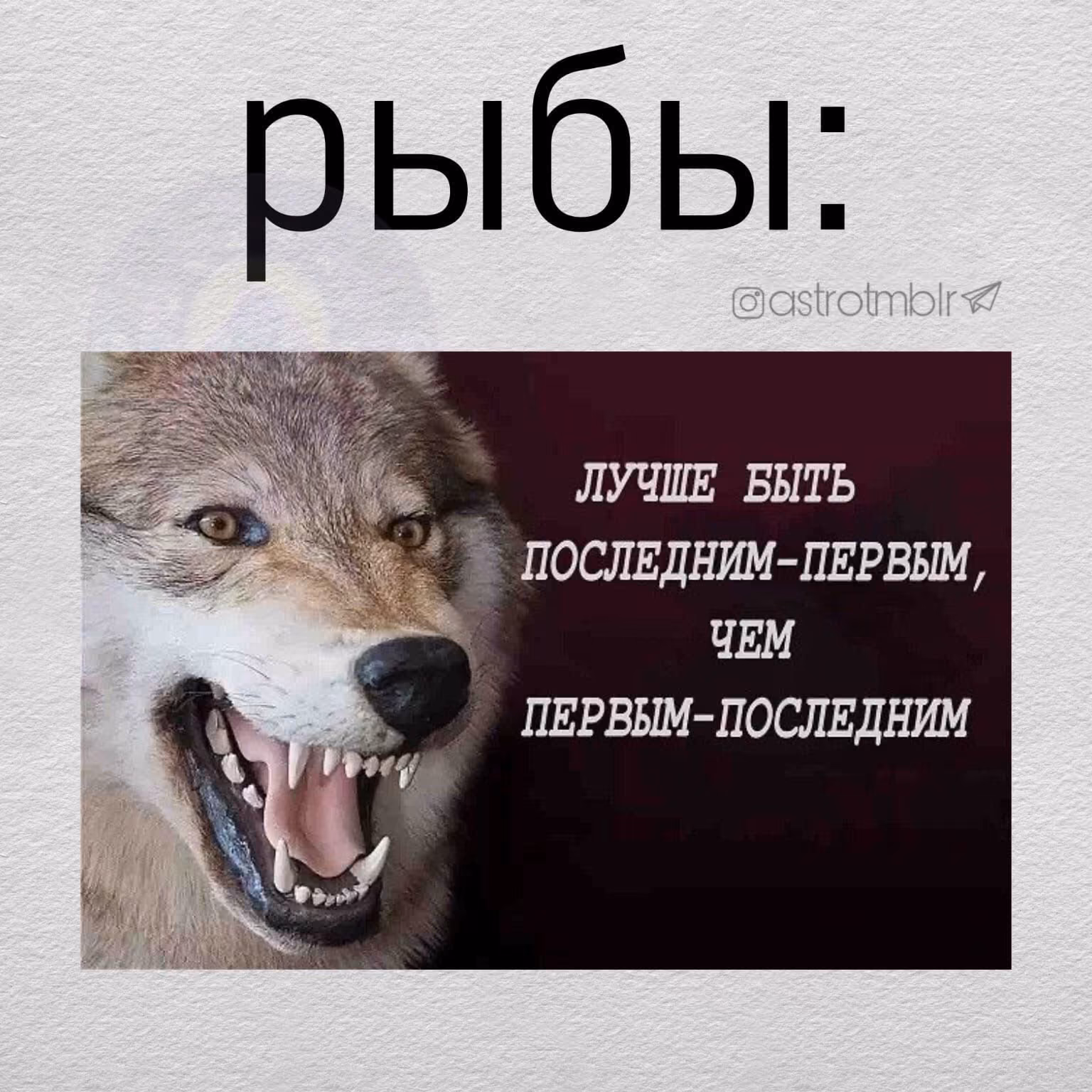 667b6ee3685c2774cb25db17c1a8fd58.avif
