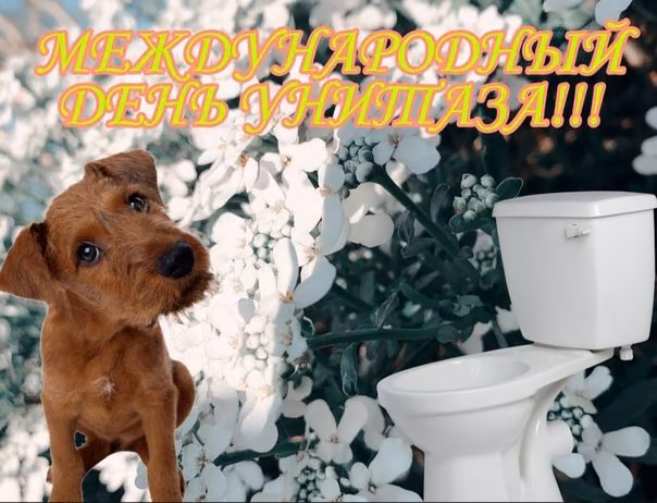 6681cffcccb82eee7a5eb0debd857a11.jpg