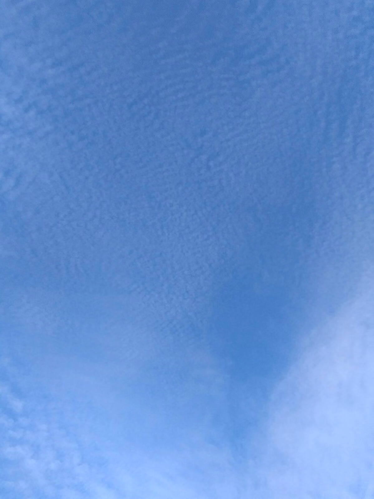66b7f03780af3de6fe471a81dce0af2c.jpg