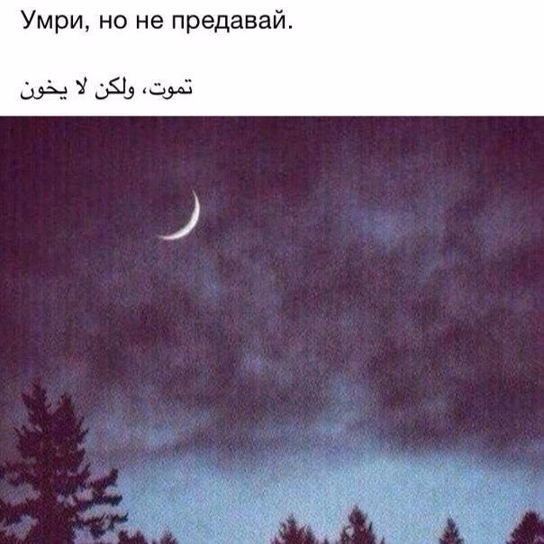 66ded15a693d70d3da97bd67c2368127.jpg